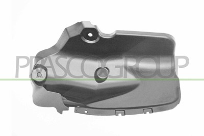 Prasco Innenkotflügel [Hersteller-Nr. DA7303653] für Dacia