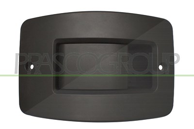 Prasco Türgriff [Hersteller-Nr. FT9208311] für Peugeot, Fiat, Citroën
