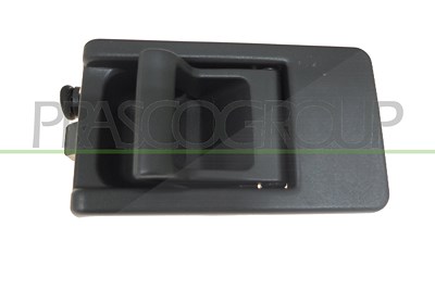 Prasco Türgriff [Hersteller-Nr. FT9208501] für Fiat