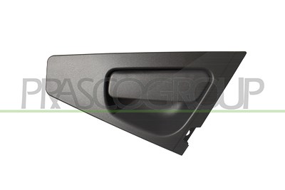 Prasco Türgriff [Hersteller-Nr. RN3298101] für Renault