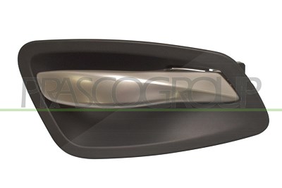 Prasco Türgriff [Hersteller-Nr. BM0248402] für BMW