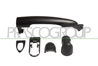 Prasco Türgriff [Hersteller-Nr. RN4208211] für Renault