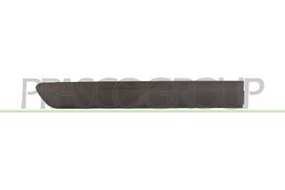 Prasco Zier-/Schutzleiste, Tür [Hersteller-Nr. FT9091453] für Fiat