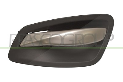 Prasco Türgriff [Hersteller-Nr. BM0248401] für BMW