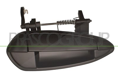 Prasco Türgriff [Hersteller-Nr. FT3448013]