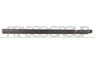 Prasco Zier-/Schutzleiste, Tür [Hersteller-Nr. RN3251403] für Renault