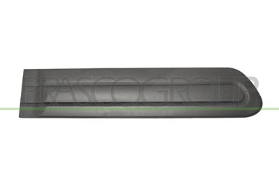 Prasco Zier-/Schutzleiste, Tür [Hersteller-Nr. FT0401453] für Fiat