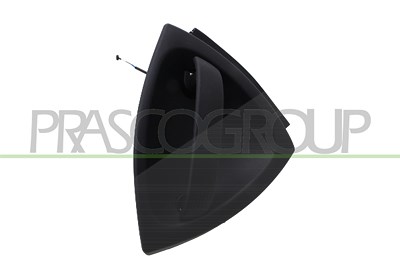 Prasco Türgriff [Hersteller-Nr. ME3028002] für Smart
