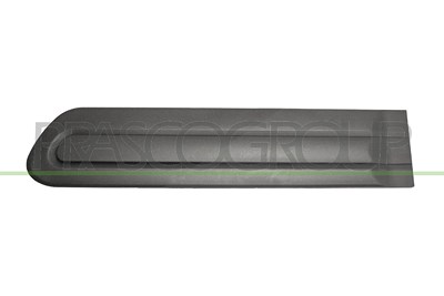 Prasco Zier-/Schutzleiste, Tür [Hersteller-Nr. FT0401454] für Fiat