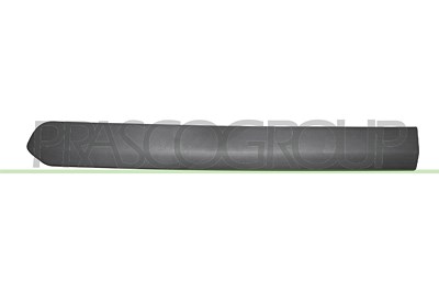 Prasco Zier-/Schutzleiste, Tür [Hersteller-Nr. FT9101454] für Fiat