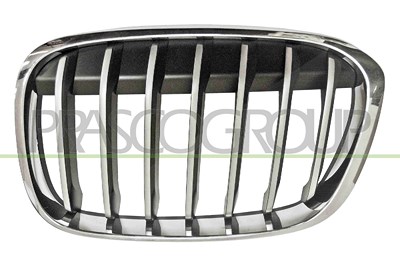 Prasco Kühlergitter [Hersteller-Nr. BM7062014] für BMW