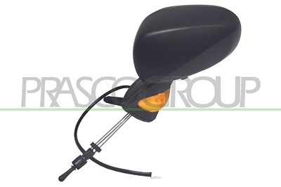 Prasco Außenspiegel [Hersteller-Nr. RN3087114P] für Renault