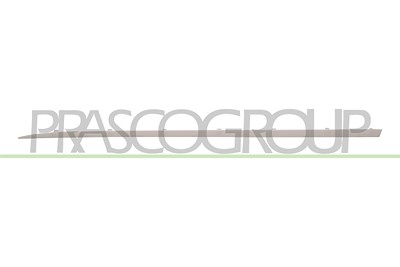 Prasco Zier-/Schutzleiste, Tür [Hersteller-Nr. RN3291424] für Renault