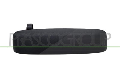 Prasco Türgriff [Hersteller-Nr. FT1228201] für Fiat