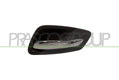 Prasco Türgriff [Hersteller-Nr. BM0258401] für BMW