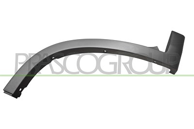 Prasco Zier-/Schutzleiste, Kotflügel [Hersteller-Nr. FT9301582] für Fiat
