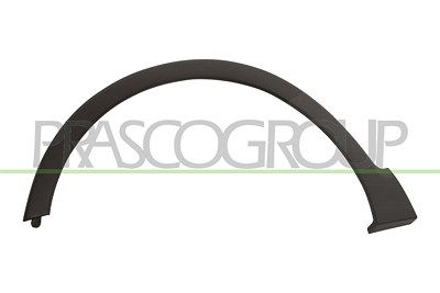 Prasco Zier-/Schutzleiste, Kotflügel [Hersteller-Nr. RN7001582] für Renault
