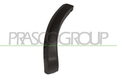 Prasco Zier-/Schutzleiste, Kotflügel [Hersteller-Nr. DA2261593] für Dacia
