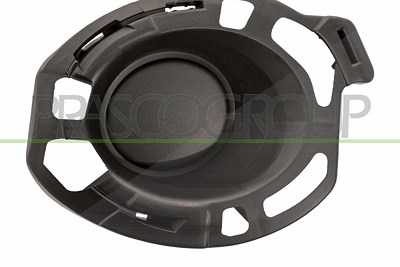 Prasco Lüftungsgitter, Stoßfänger [Hersteller-Nr. RN3272113] für Renault