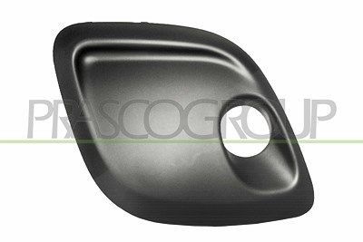 Prasco Lüftungsgitter, Stoßfänger [Hersteller-Nr. CI2042134] für Citroën
