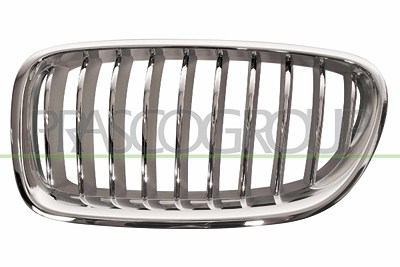 Prasco Kühlergitter [Hersteller-Nr. BM0502014] für BMW