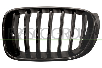 Prasco Kühlergitter [Hersteller-Nr. BM8072004] für BMW
