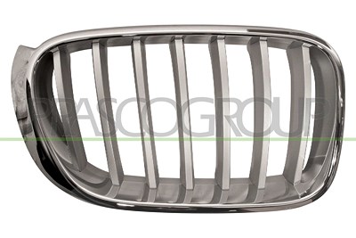 Prasco Kühlergitter [Hersteller-Nr. BM8062013] für BMW