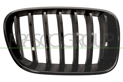 Prasco Kühlergitter [Hersteller-Nr. BM8052003] für BMW