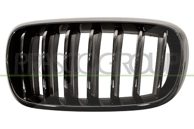 Prasco Kühlergitter [Hersteller-Nr. BM8272004] für BMW