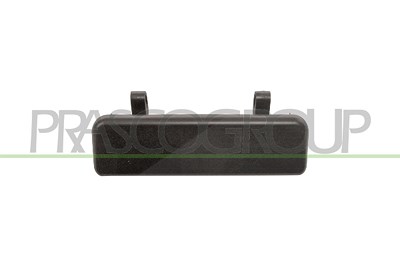 Prasco Türgriff [Hersteller-Nr. RN0238217] für Renault