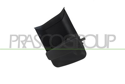 Prasco Türgriff [Hersteller-Nr. PG9048101] für Peugeot, Citroën