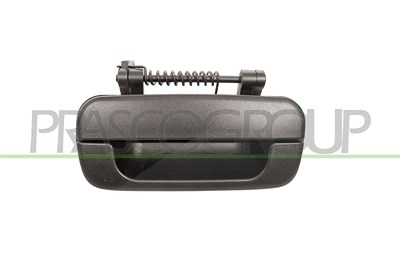 Prasco Türgriff [Hersteller-Nr. PG0578101] für Peugeot