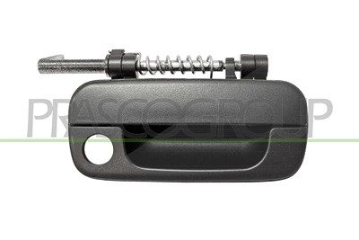 Prasco Türgriff [Hersteller-Nr. PG0578001] für Peugeot