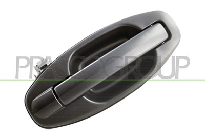 Prasco Türgriff [Hersteller-Nr. HN8128103] für Hyundai