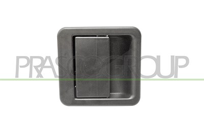 Prasco Türgriff [Hersteller-Nr. FT9198301] für Citroën, Peugeot, Fiat