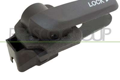 Prasco Türgriff [Hersteller-Nr. FT9098402] für Fiat
