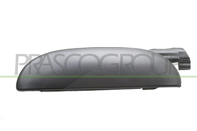 Prasco Türgriff [Hersteller-Nr. FT1138203] für Fiat