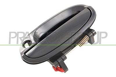 Prasco Türgriff [Hersteller-Nr. DW3248008] für Chevrolet
