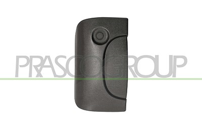 Prasco Türgriff [Hersteller-Nr. DS9178301]