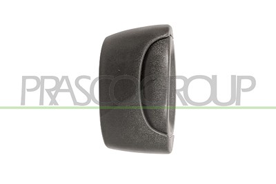 Prasco Türgriff [Hersteller-Nr. DS9178102] für Renault