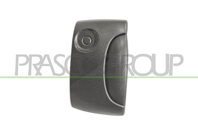 Prasco Türgriff [Hersteller-Nr. DS9178101] für Renault