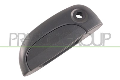 Prasco Türgriff [Hersteller-Nr. DS9178002] für Renault