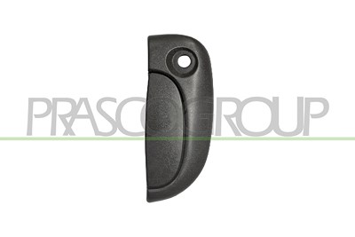 Prasco Türgriff [Hersteller-Nr. DS9178001] für Renault