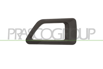 Prasco Türgriff [Hersteller-Nr. CI9158702] für Citroën