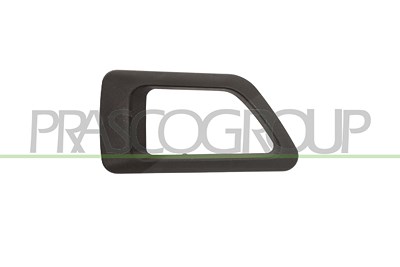 Prasco Türgriff [Hersteller-Nr. CI9158701] für Citroën