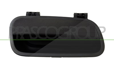 Prasco Türgriff [Hersteller-Nr. CI9158502] für Citroën