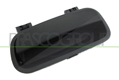 Prasco Türgriff [Hersteller-Nr. CI9158501] für Citroën