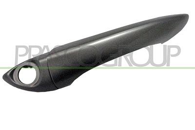 Prasco Türgriff [Hersteller-Nr. BM8208008] für BMW