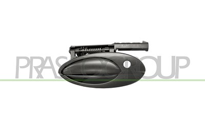 Prasco Türgriff [Hersteller-Nr. CI5208004] für Citroën