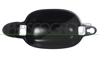 Prasco Türgriff [Hersteller-Nr. BM0468203] für BMW